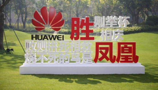 华为断供后十天后终于找到芯片供应,网友却急了?