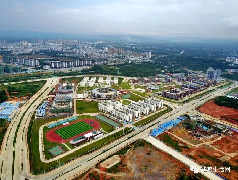 海归高材生放弃落户武鸣大学城的广西民族大学刺痛了谁的神经