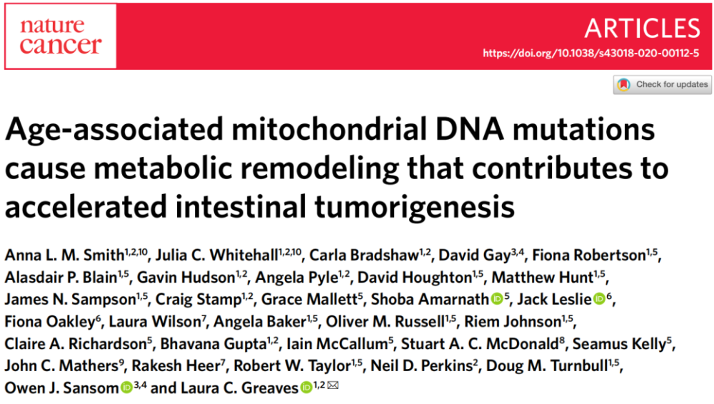 衰老|为何越老越容易患癌，衰老加速肠道肿瘤？
