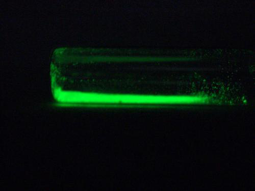 居里夫人|她用实际行动打脸了那个不尊重女性的时代，一己之力拯救了无数人