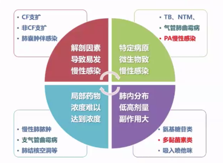 支气管哮喘儿童怎么治疗_儿童支气管哮喘治疗指南_小儿支气管肺炎食疗法