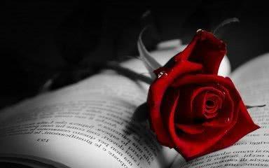 满天的落叶|情诗：《满天的落叶》