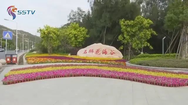 花海谷擺放鮮花,開啟迎