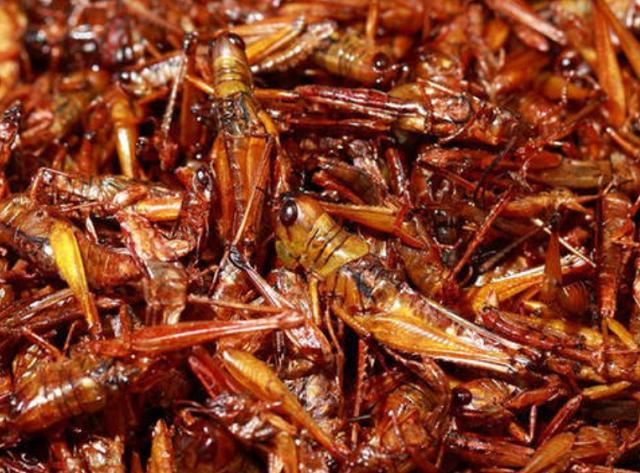 特产|本地人最爱吃的4大特产，外地人看着就没胃口，你都吃过哪些？