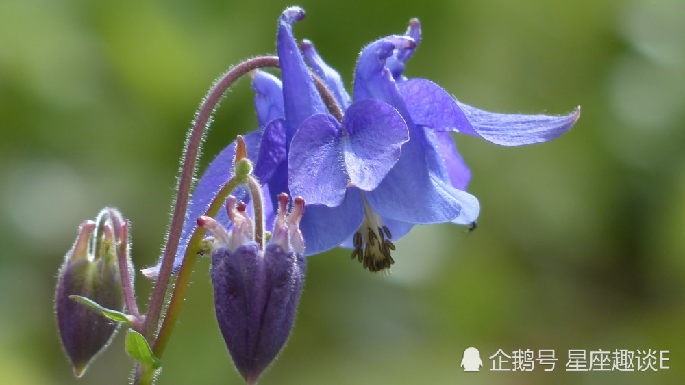 10月2日星座运势励精图治 喜讯频频的三大星座 腾讯新闻