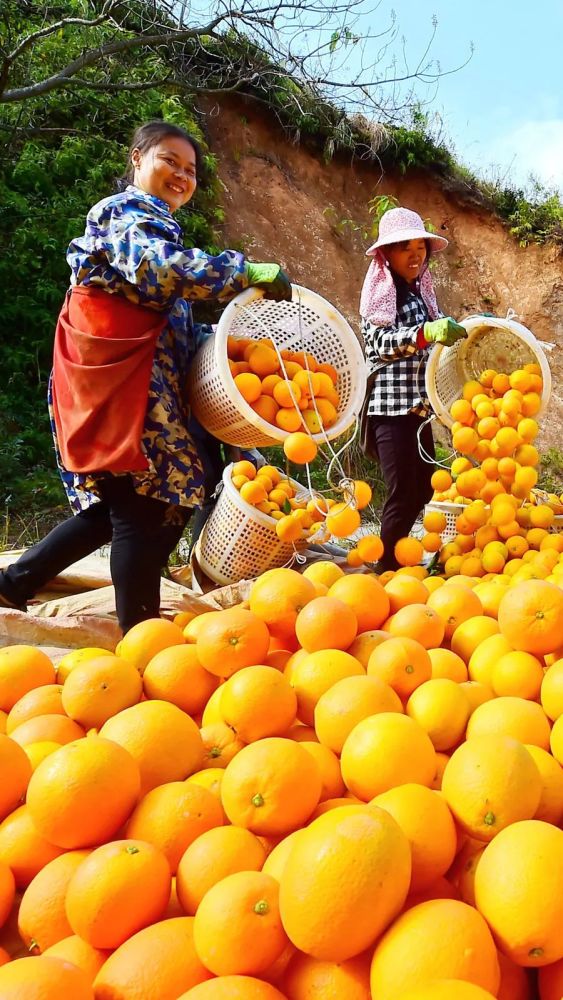 决战决胜脱贫攻坚看气象为小康生活着色扶贫日