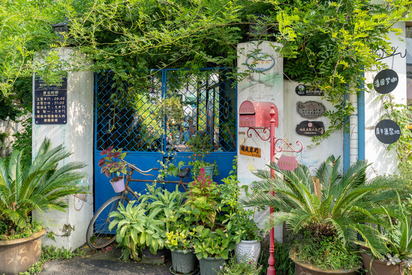 浙江105户人家的小村庄家家户户成了小花园门口就可以看潮