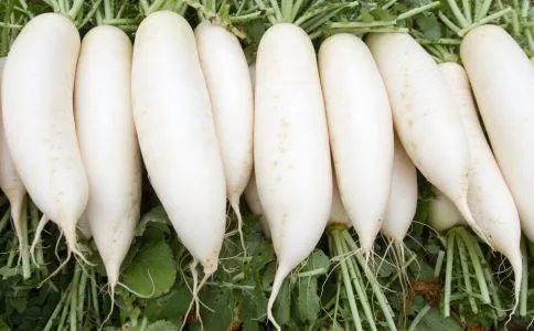 面条|一北京姑娘的108个做饭小妙招，连退休厨师都说好，实用！