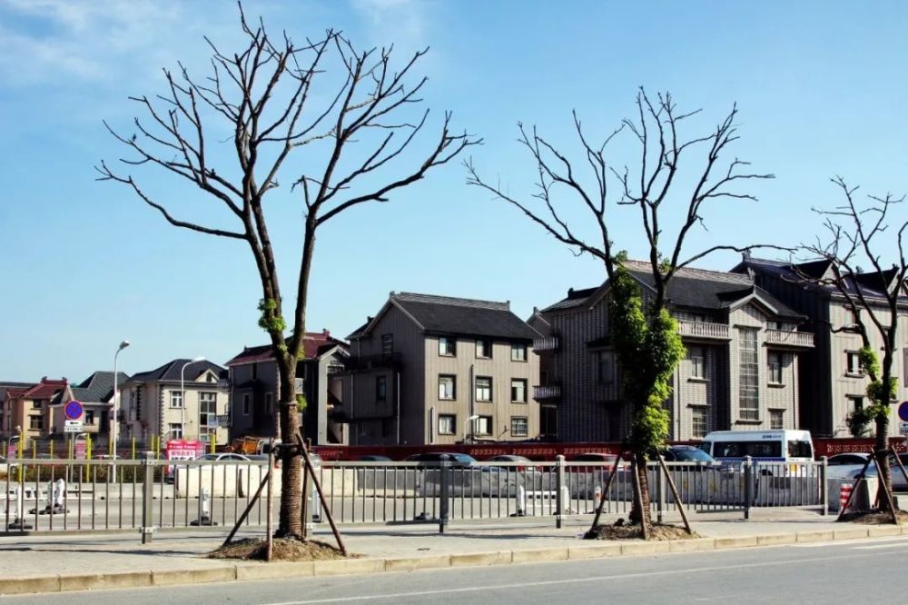 感受上海市青浦区徐泾镇这些年的变迁_腾讯新闻