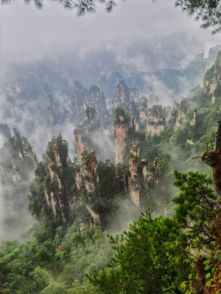 今日图集:钟灵毓秀张家界_腾讯新闻