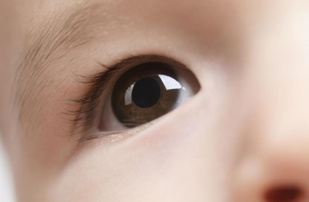 小豆眼宝宝火了家人总以为宝宝睡着了网友比李荣浩过分