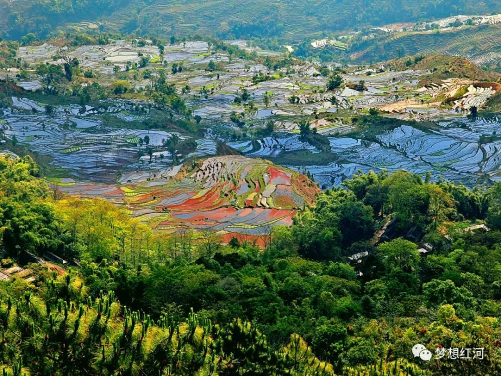 红河县撒玛坝万亩梯田景区启动试运营