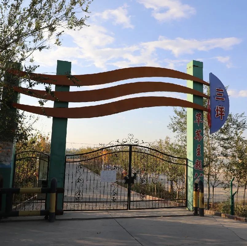 双节期间,来三坪农场采摘天山雪莲菇吧!_腾讯新闻