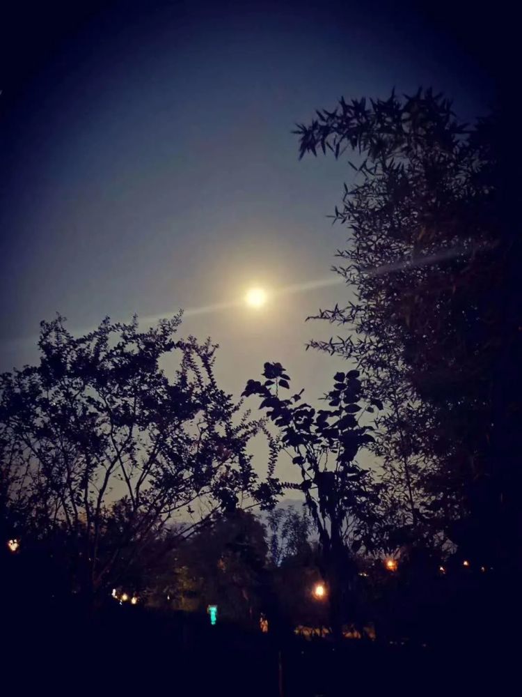 今晚的月亮美图来了