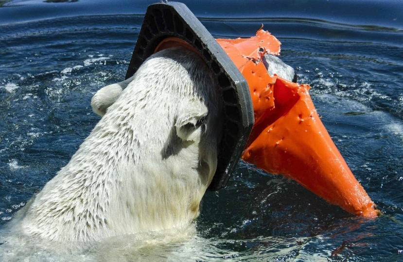 外媒称英国为了解决环境污染,正式禁止使用塑料吸管等物品