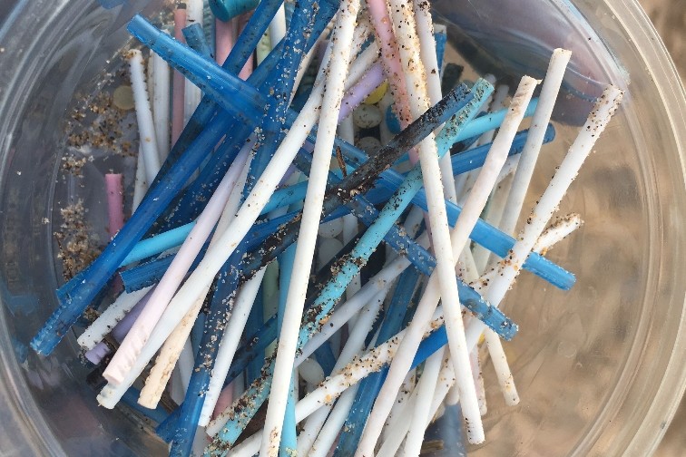 外媒称英国为了解决环境污染,正式禁止使用塑料吸管等物品