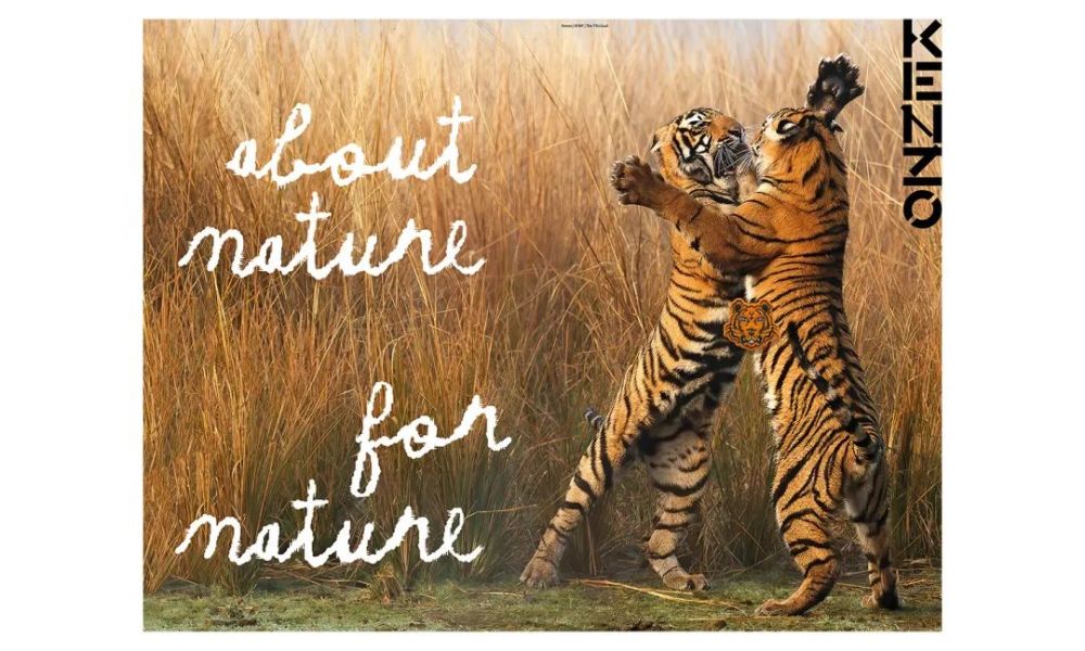为支持 wwf 野生虎保护事业,kenzo 推出全新老虎胶囊系列