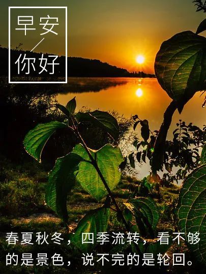 早安语录最新早安心语图片带字