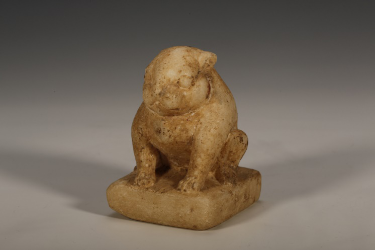 从一只史上最贵的兔子说起