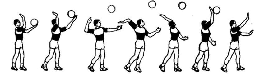 夺冠没看过瘾带你从物理角度分析排球技术