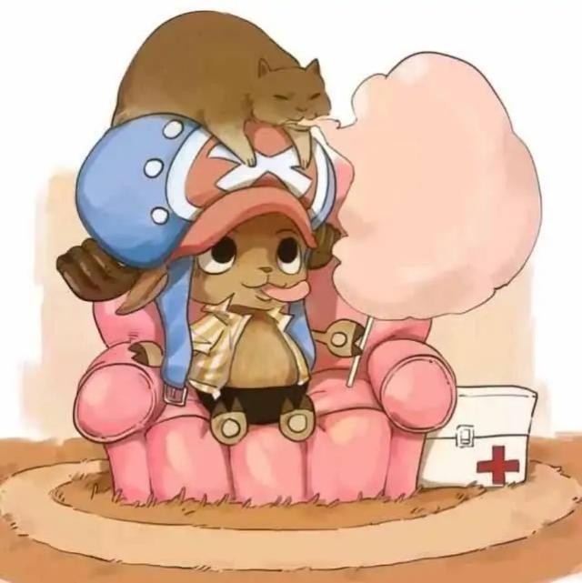 跟着海贼王一起撸猫路飞猫咪太胖他不仅有猫还有专属的她