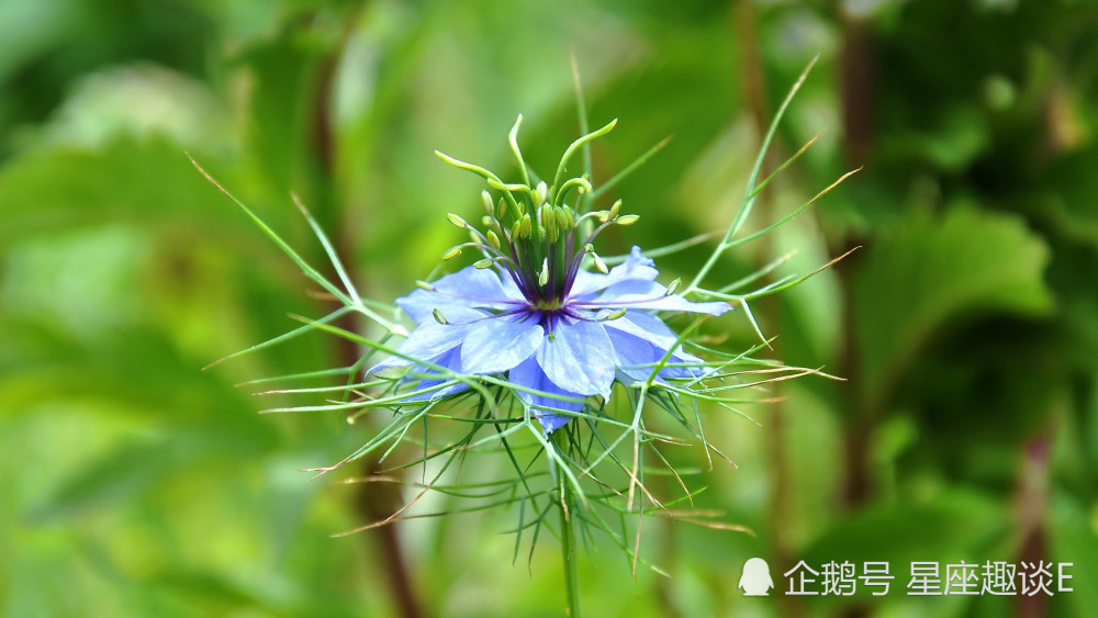 10月3日星座运势扶摇直上 前途无量的四大星座 腾讯新闻