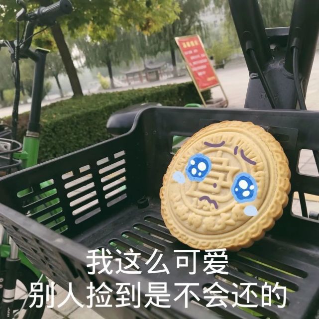 獨家揭秘月小餅的珍藏表情包