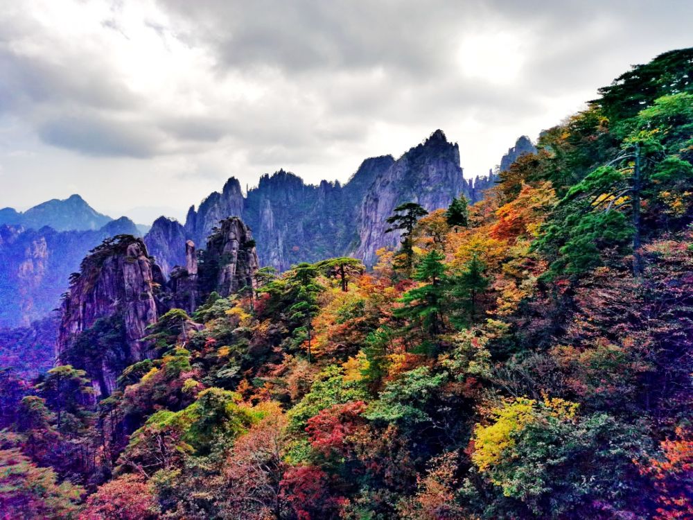黄山一年四季的景色图片