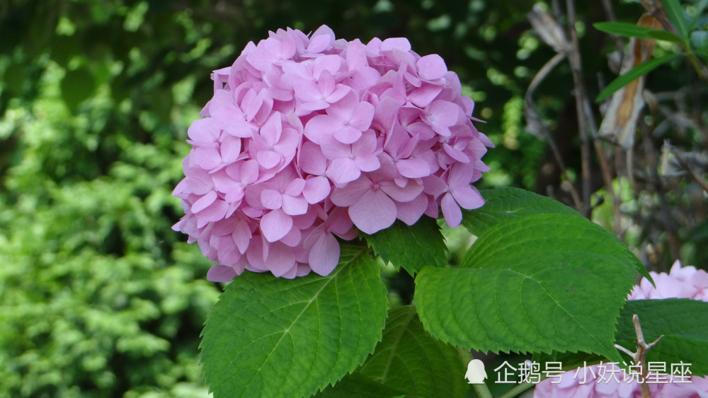 10月3日星座运势胸有成竹 成绩卓然的四大星座 腾讯新闻