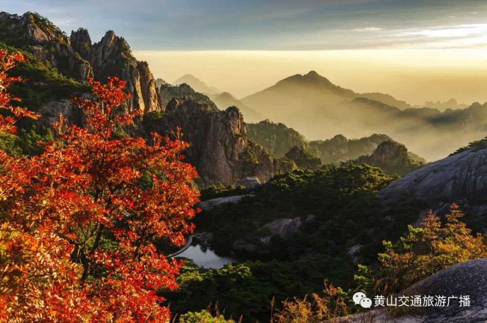 黄金周第二天黄山景区秋景如画交通顺畅停车有序