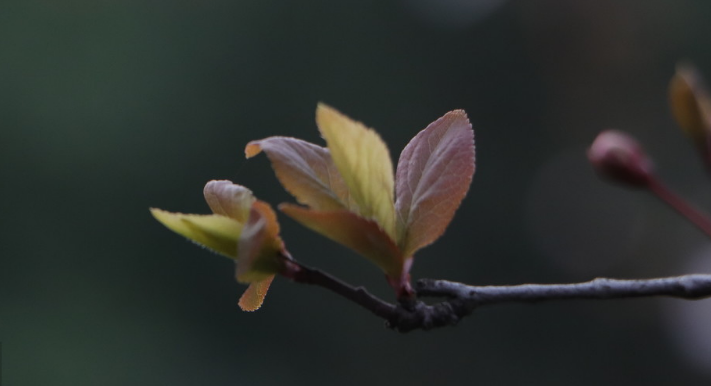 朱婷|人在困难时，请记住这几句话