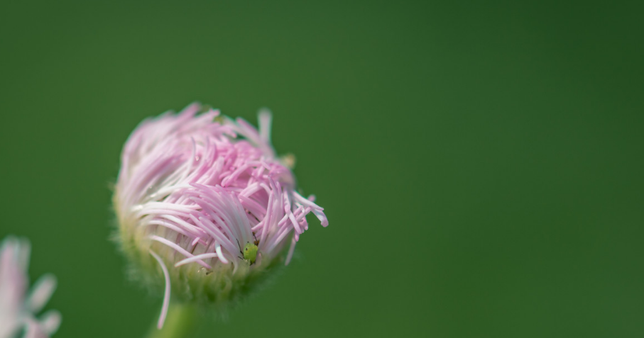 朱婷|人在困难时，请记住这几句话