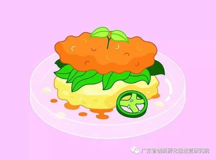 工业机器人|麻省理工选出的全球十大突破性技术