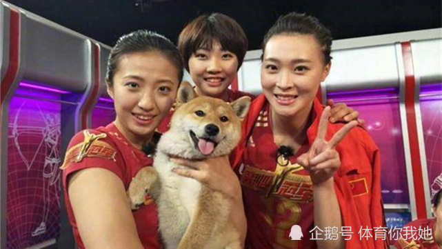 塑料姐妹花女排丁霞调侃惠若琪两个人进行互怼有爱又有趣