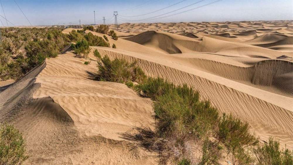为什么强行在沙漠地区植树造林,反而会加剧当地土壤沙漠化?_腾讯新闻