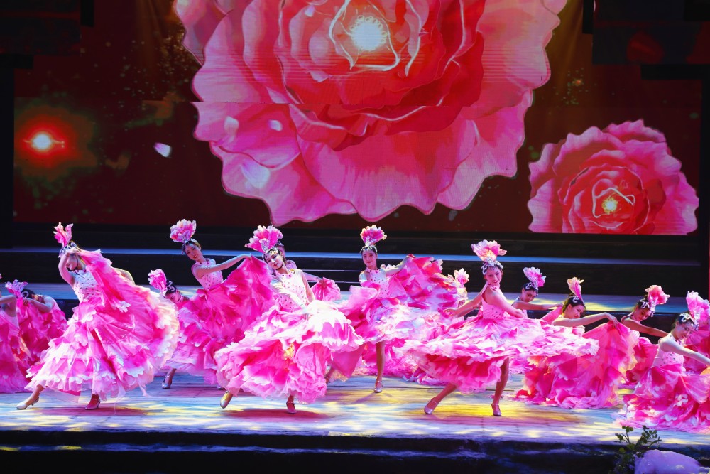 姑娘们的裙摆绽放成一朵朵花芙蓉花开,花开芙蓉它是土家人的历史之花