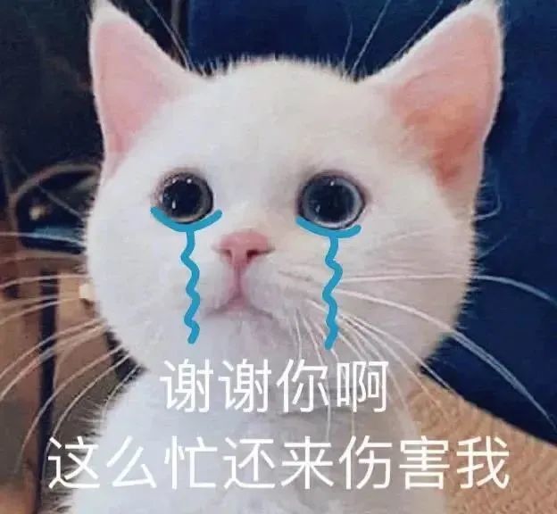 沙雕表情包我们的缘分就到这吧