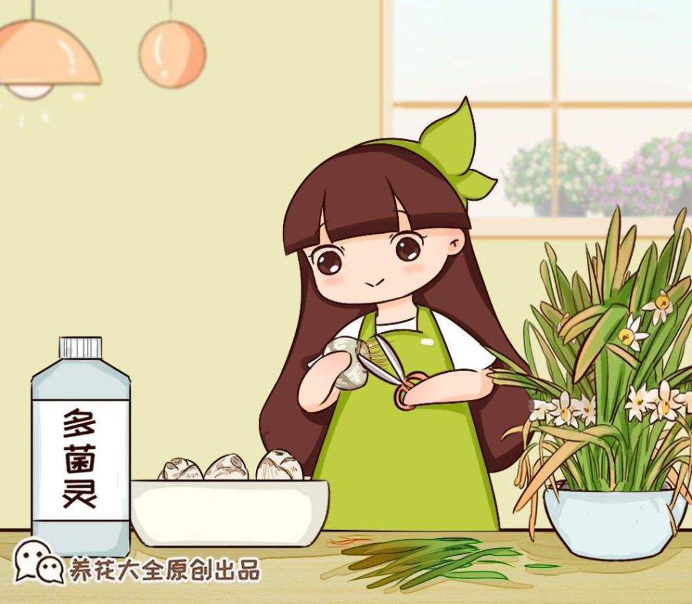 多菌靈不對(duì)癥，噴再多也沒用！