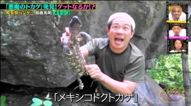 日本_娱乐|造假的综艺节目还真不少……