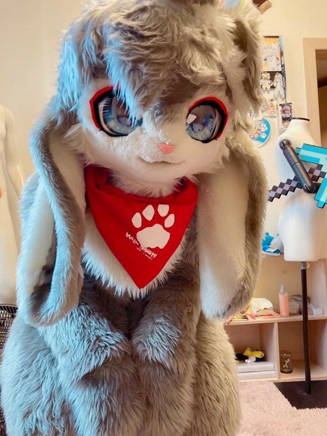 这只看着就想让人摸一摸的毛茸茸萌物是属于推特博主ina(twi:@4bfox)