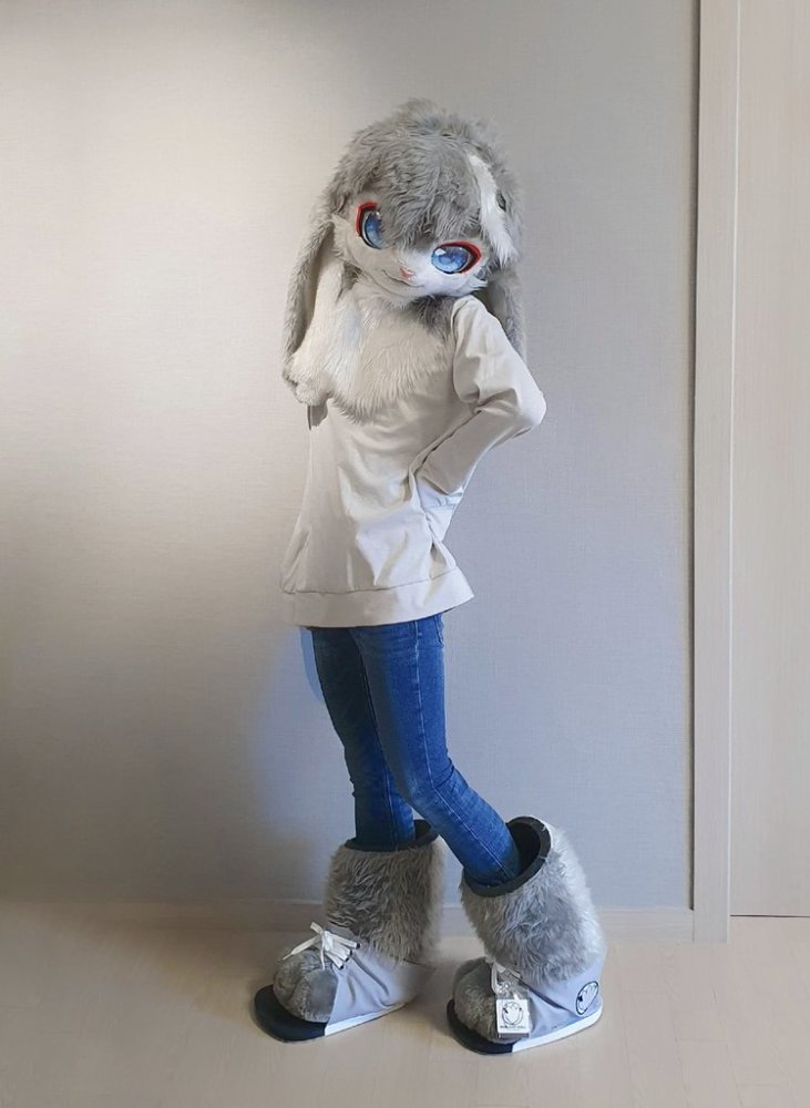 这只看着就想让人摸一摸的毛茸茸萌物是属于推特博主ina(twi:@4bfox)