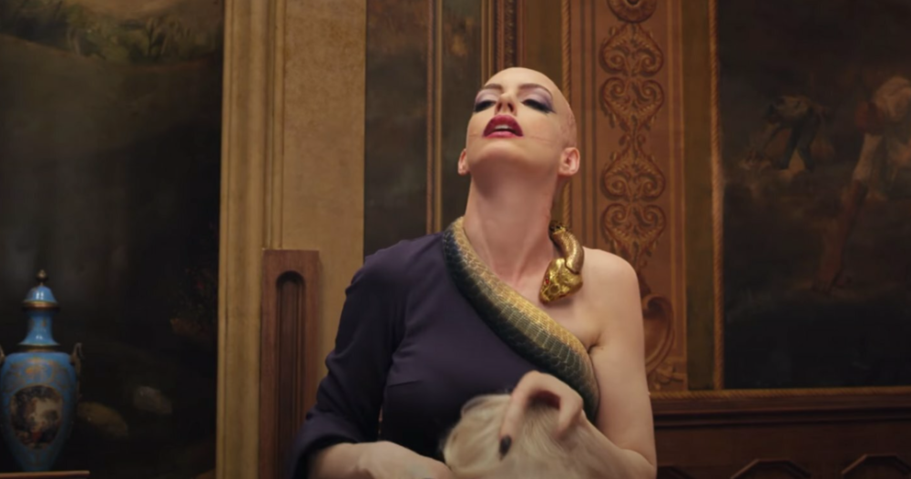 断背山 安妮海瑟薇