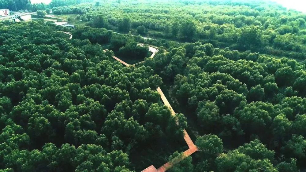 黃天蕩江灘溼地公園風景如畫位於古渡口