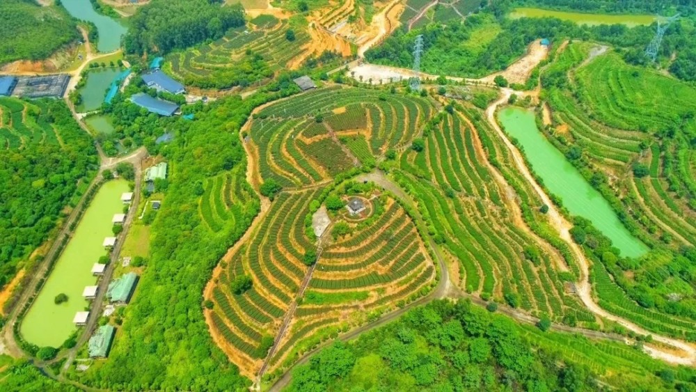 園-墨園村-黃沙洞村惠城鄉村體驗之旅本線路以七女湖起義舊址為起點