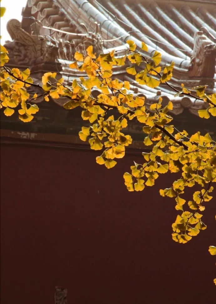 秋风|身闲无所为，心闲无所思…