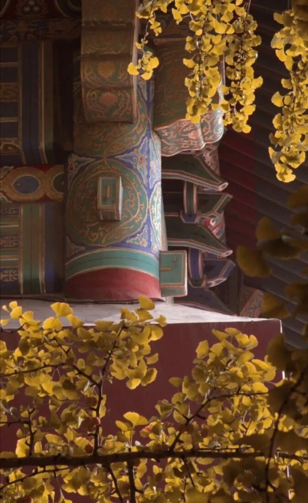 秋风|身闲无所为，心闲无所思…