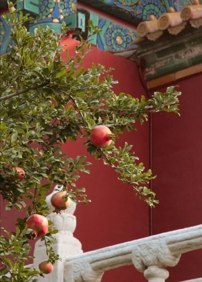 秋风|身闲无所为，心闲无所思…