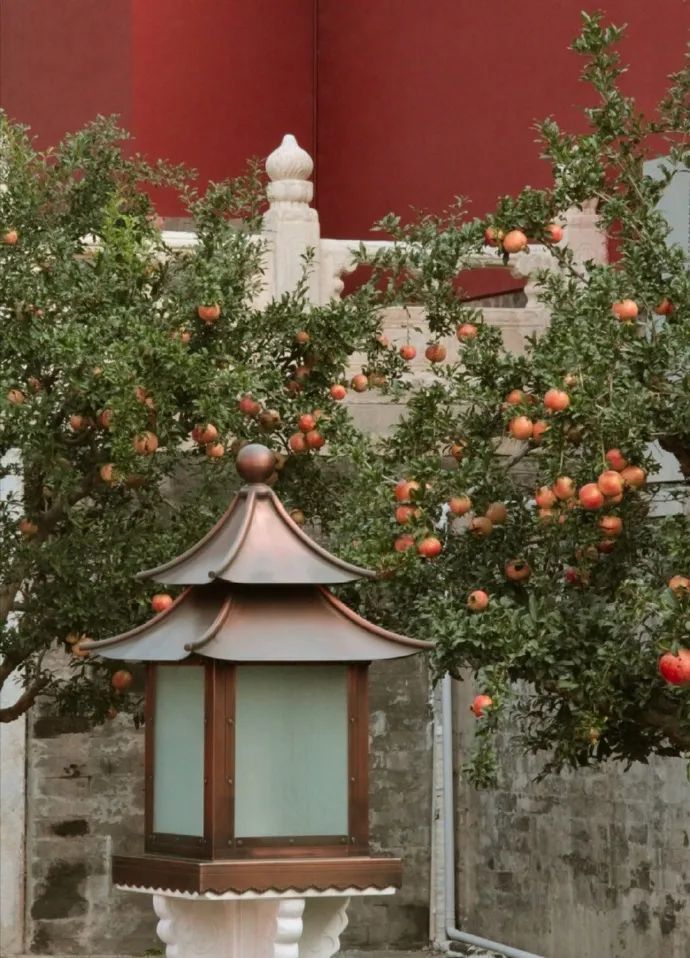 秋风|身闲无所为，心闲无所思…