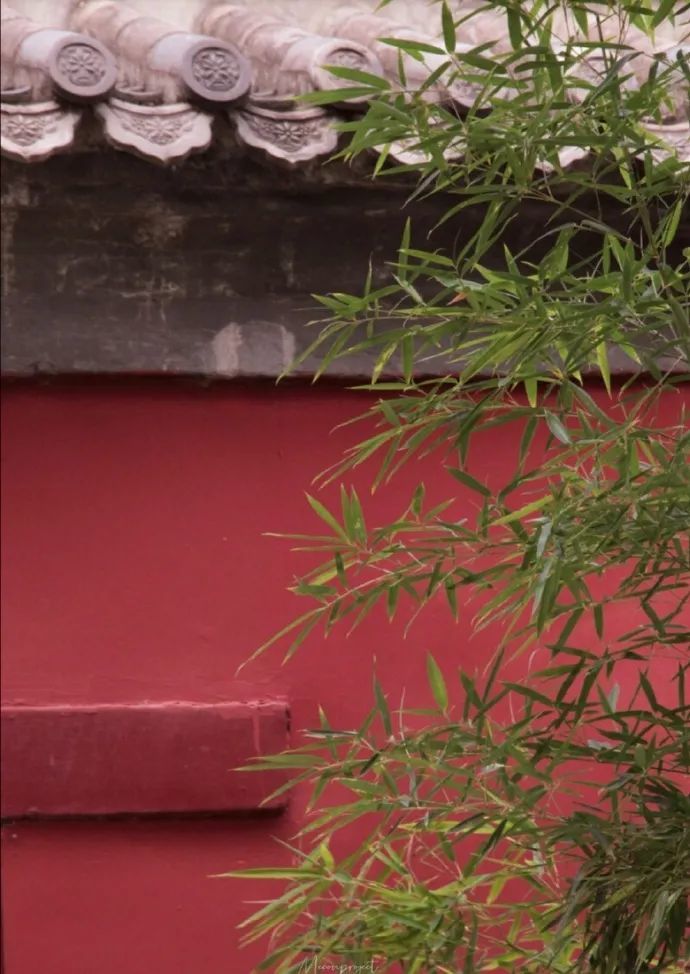 秋风|身闲无所为，心闲无所思…