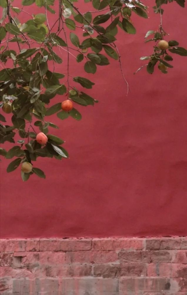 秋风|身闲无所为，心闲无所思…